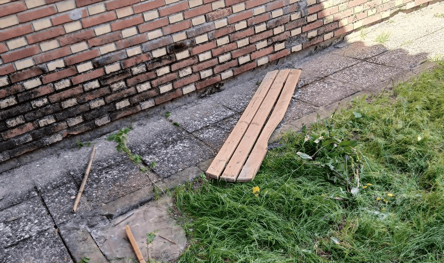 658986292_1005044248589749_3691195044664655692_n 1.png